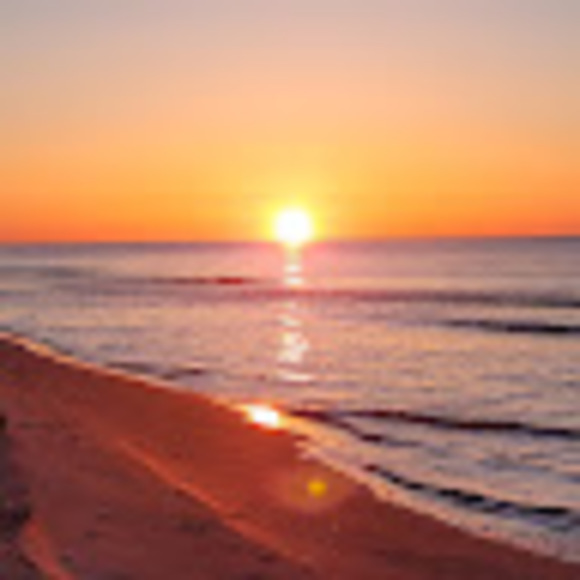 Meet your Posher, Sophia - Picture 1 of 1